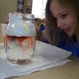 Prairie View KinderCare Photo #6 - Science Experiments are so much fun in the Pre-Kindergarten Classroom.