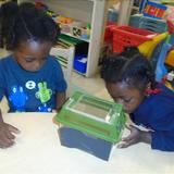 Fairview KinderCare Photo #6 - Students learn about bugs and their environment