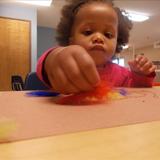 Florence KinderCare Photo #5 - Toddlers are busy developing during play.