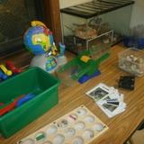 KinderCare at Hunt Club Photo #10 - A Science area that encourages children to explore natural objects both living and non-living