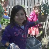 Constitution KinderCare Photo #6 - School age students plant flowers together, creating memories that will last a life time.