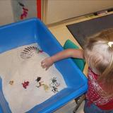 Halcyon Park KinderCare Photo #10 - Sensory experiences are an important in an early childhood program. Here you can see our 2 year olds discovering insects and bugs in the sand table.