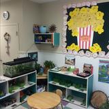 Plymouth KinderCare Photo #8 - Kindergarten Science Area