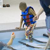 Monarch Of School Of Bellefaire Jcb Photo #7 - Therapeutic adaptive swimming lesson