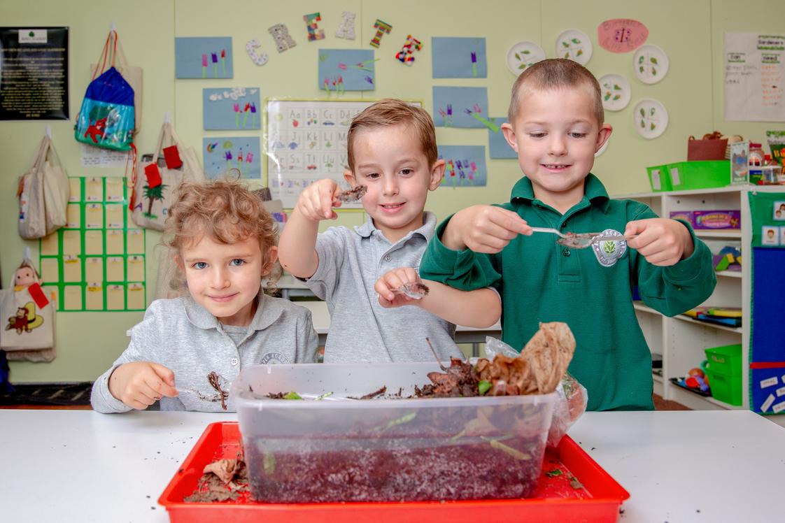 Aspen Academy Photo #1 - PreK students learning about science and nature with a classroom worm bin.