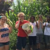 Academe Of The Oaks Photo #2 - Academe student gardeners enjoy their Ears of Corn