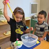 Montessori Academy On Parkcenter Photo #8