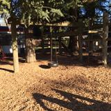 Oak Grove Learning Tree Photo #3 - Our Playground