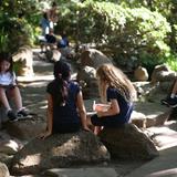 Episcopal Day School of St. Matthew Photo #6 - Second grade students try their hand at plein-air painting at the San Mateo Japanese Garden.