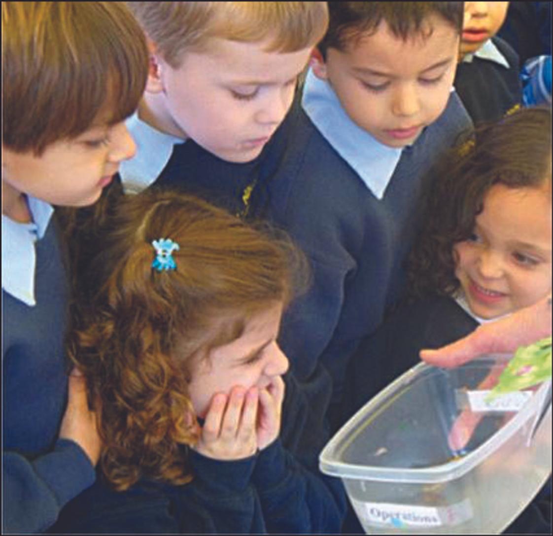 St. Nicholas School Photo - Children are given opportunities to discover the world around them through hands on activities, field trips, and scientific inquiry-based learning.