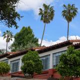 The Webb Schools Photo #8 - Webb's campus is home to hundreds of trees, including palms, oaks, and pines. Orange and pomegranate trees provide fresh snacks to students!