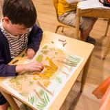 Westside Waldorf School Photo #2 - At Westside Waldorf School, an arts-based education helps children develop the self-awareness, confidence, and inner direction to navigate life with purpose.