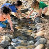 Westside Waldorf School Photo #8 - All Waldorf students spend ample time outdoors, deepening their connection to and reverence of the natural world.