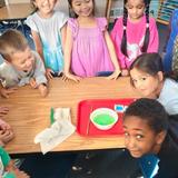 Triumphant Learning Center Photo #13 - color mixing experiment