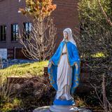 Ave Maria Catholic School Photo #6