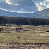 Colorado Timberline Academy Photo #10 - Mountain Biking Fall Trip