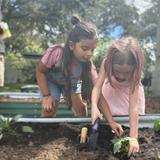 Walden Community School Photo #11 - Hands-on discovery in the garden! Students explore science and teamwork while connecting with the natural world.