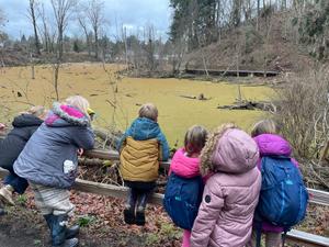 Puddletown Montessori School Photo