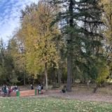 Cedar Tree Classical Christian School Photo #13