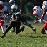 Saint John Paul The Great Catholic High School Photo #3