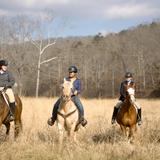 Greenbrier Academy for Girls Photo #3 - Our School of Horsemanship includes an indoor arena, opportunities for equestrian competition and horsemanship clinics.