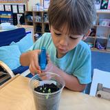 Discovery Isle Child Development Center Photo