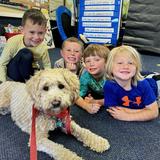 Tate's School Photo #16 - Therapy dog Luna visits classrooms to make learning even more fun