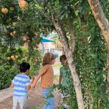 Mountain West Montessori Photo #1 - Children spend time in nature. They enjoy the garden and the pecan orchard as well as taking care of our chickens. Playing outside in nature is key for development, we love this part of our school.