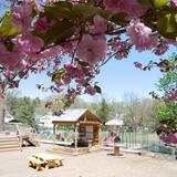 Neshaminy Valley Montessori School Photo #6 - School Outdoor