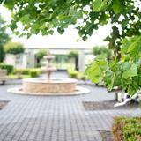 Center for Teaching & Learning Photo #2 - CTL Courtyard