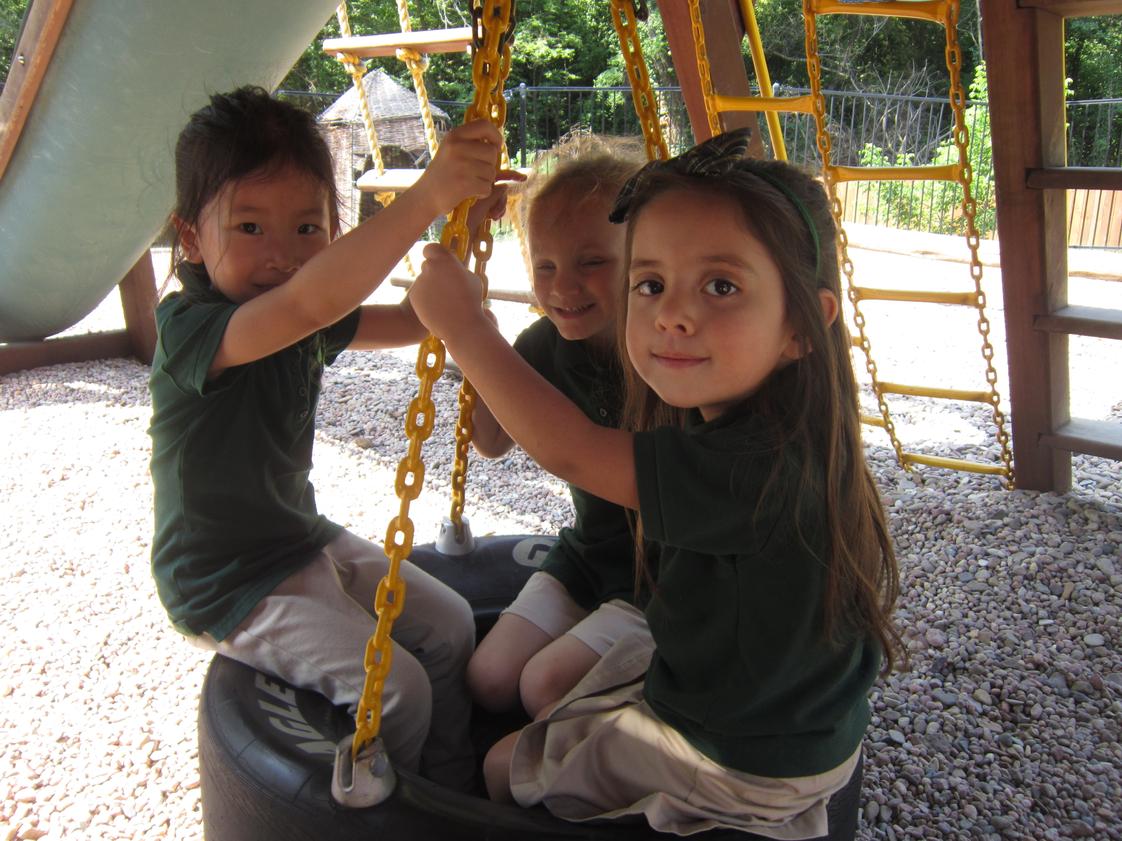 Honey Tree And Branches Academy Photo - Having fun swinging outside.
