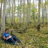 High Mountain Institute Photo #6 - A student studies in the aspen grove near campus