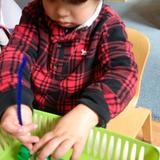 International Montessori Schools At Great Valley Photo #2 - A Pre-Primary child concentrates on a practical life piece of work