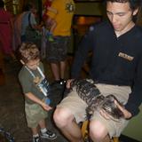 Grace Academy Photo #4 - Encountering real animals on our field trip to Lake Tobias.