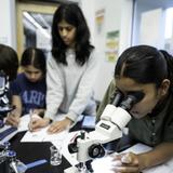 BASIS Independent McLean Photo #7 - Middle school students build a strong scientific foundation by studying biology, chemistry, and physics concurrently through three distinct science courses.