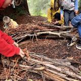 Trū Progressive Microschool Photo #6 - Forest School program