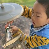 Indiana Montessori Academy Photo #6 - An IMA student fills the bird feeders in the Learning Gardens.