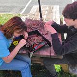 Lynnhaven School Photo #2 - Students working in outdoor space.