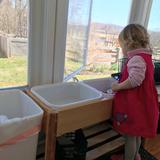 Village Montessori School At Bluemont Photo #5 - A VMS toddler doing practical life work.