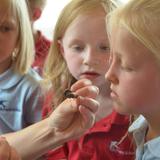 Ambleside At Skylark Photo - 2nd grade teacher shares snail with students during Nature Study