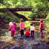 The Garden School of Marietta Photo #8 - Kindergarten creek walk exploration.