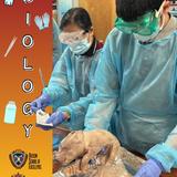 South Florida School of Excellence Photo #8