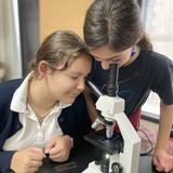 Annunciation Day School Photo #5 - Their dedicated science lab is home to various microscope studies, animal dissection, 3D printing, and more! Students have even created their own flying rockets using 2-liter soda bottles!