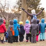 Prairie School of DuPage Photo #4 - Forest Kindergarten