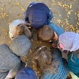 Iliff Preschool, Kdgn, And School-age Summ Photo #3 - Fostering curiosity and inquiry with nature.