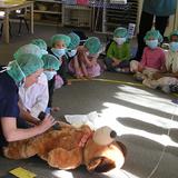 Montessori School at Lone Tree Photo #6 - We encourage parent involvement at many levels. One of our parents gave a presentation to the children about being a veterinarian.