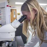 Saint Joseph Catholic School Photo #9