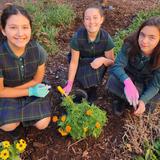 Saint Joseph Catholic School Photo #25