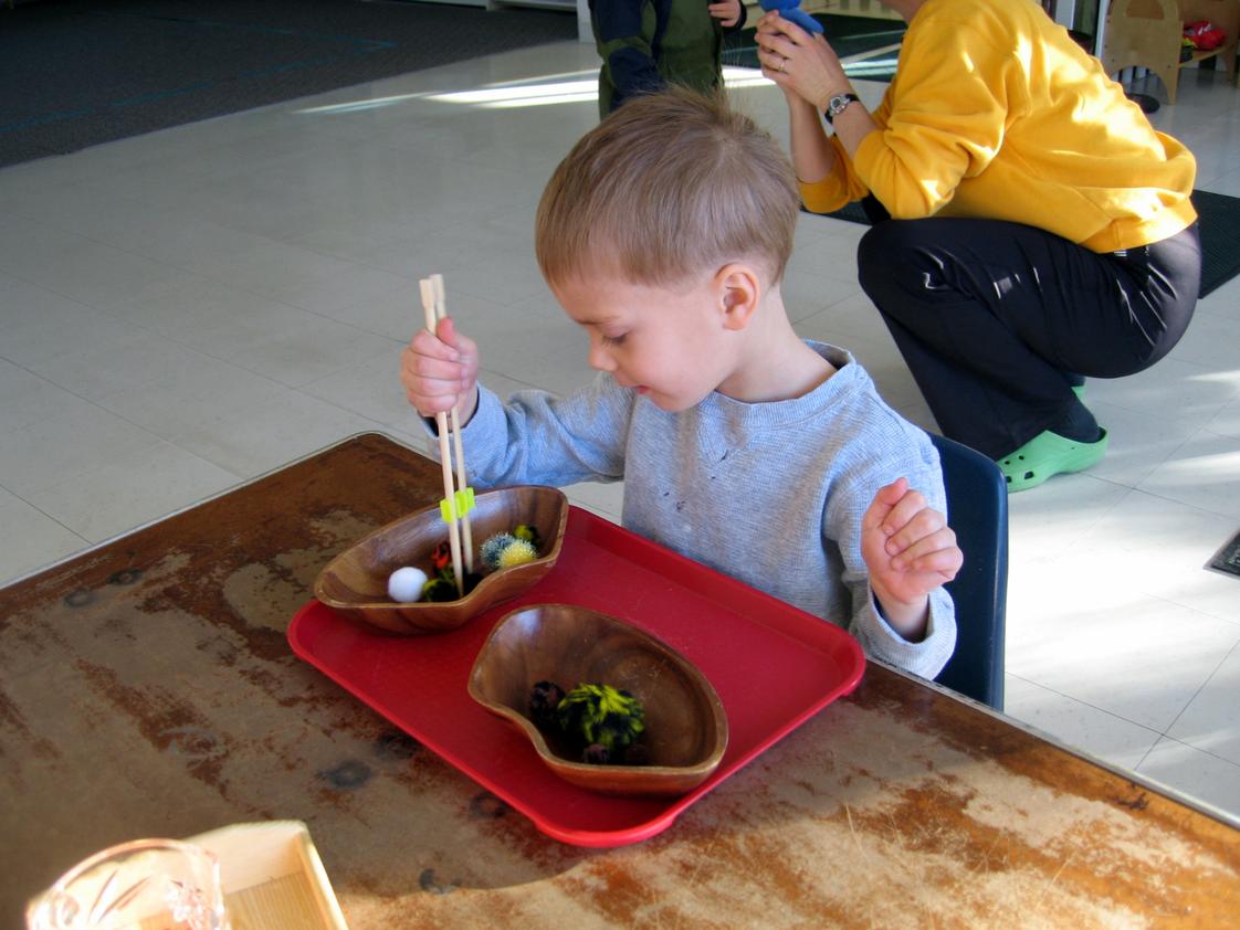 Sidewalk's End Montessori School Photo #1 - Transferring with chop sticks in the Practical LIfe section of the classroom helps the children learn the use of chop sticks, improves hand-eye coordination and strengthens the hand in preparation for writing.