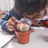 Fairfield Country Day School Photo #8